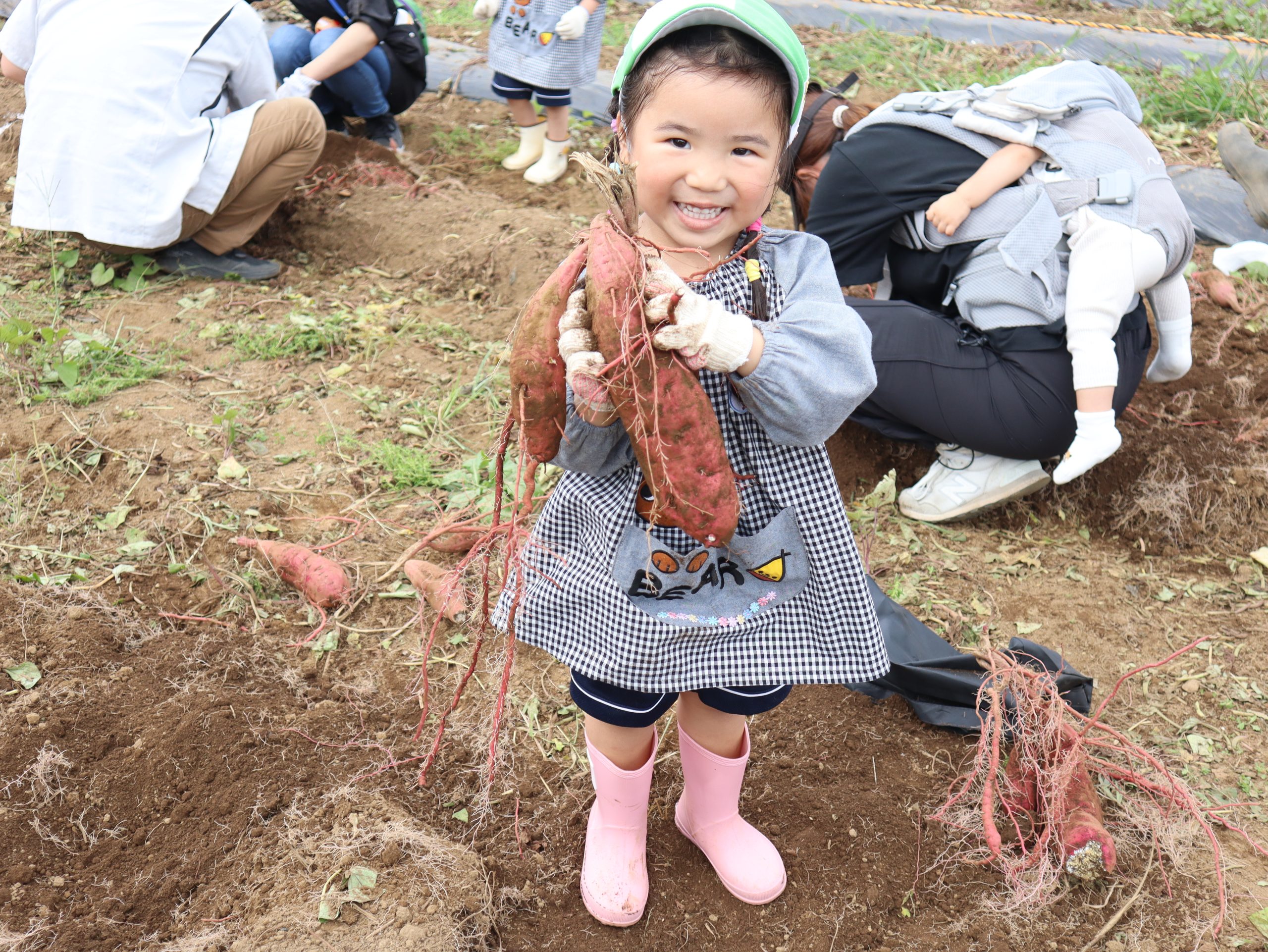 保護中: 年少組親子いもほり