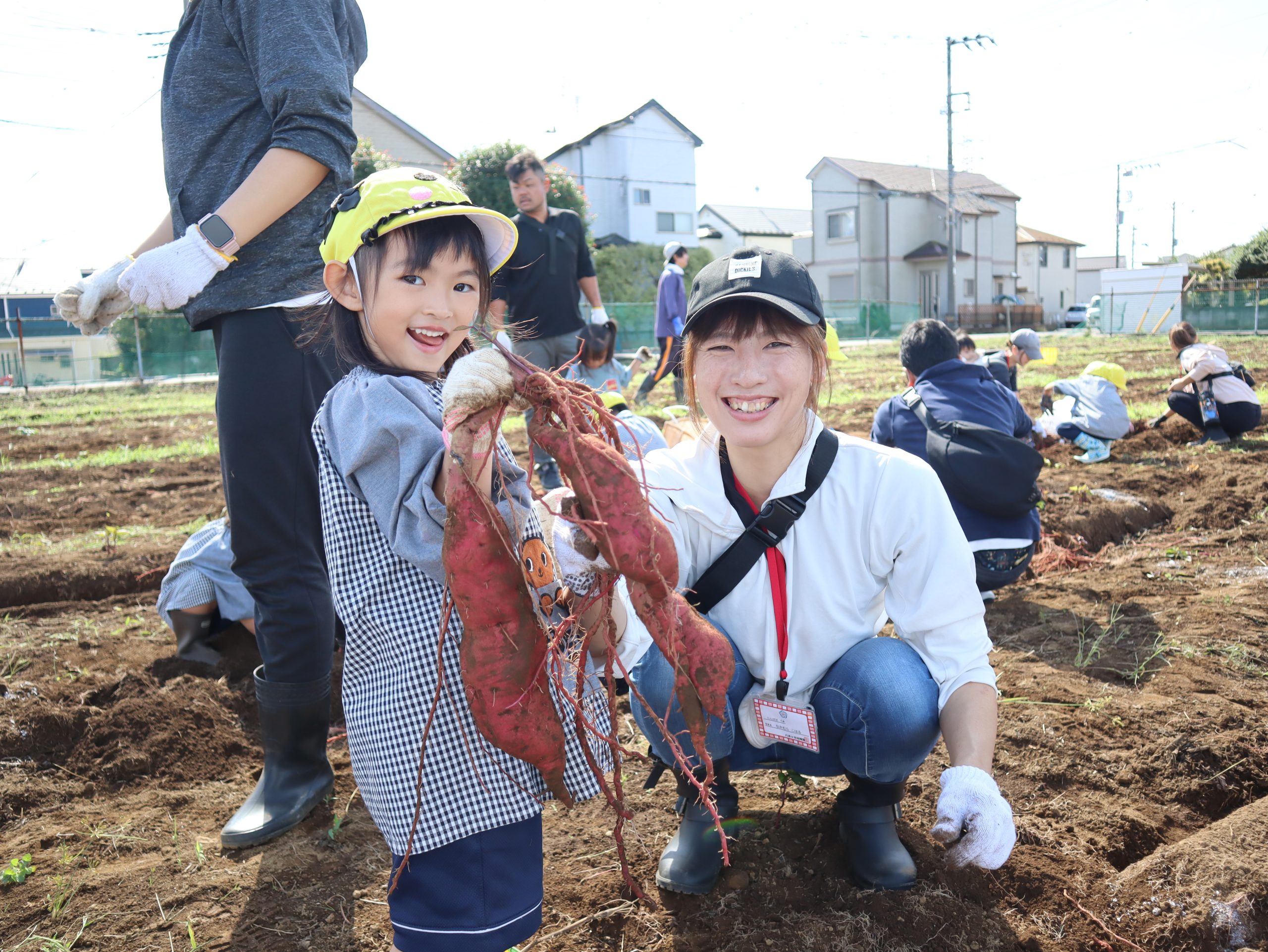 保護中: 年中組親子いもほり