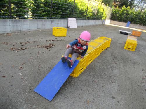 IMG 1132