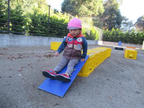 IMG 1133