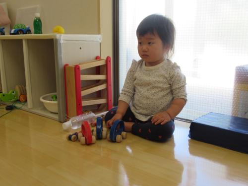 IMG 1551