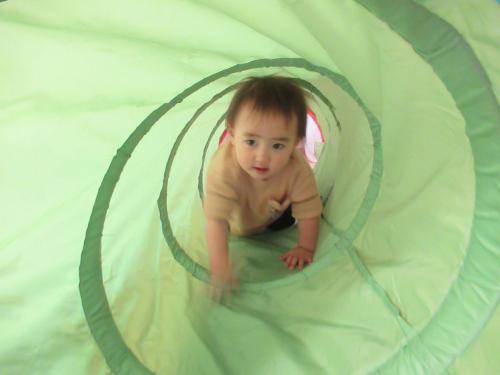 IMG 1567