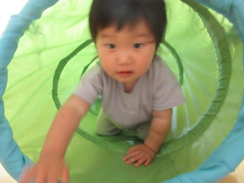 IMG 1594