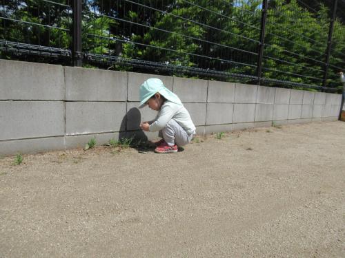 IMG 1635