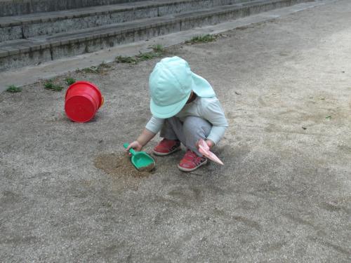IMG 1650