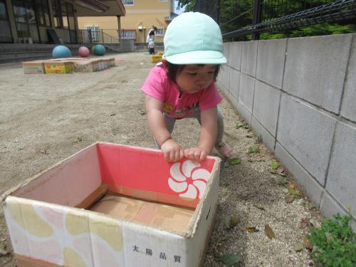 IMG 1658