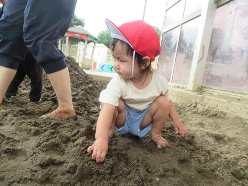 IMG 2258 (1)