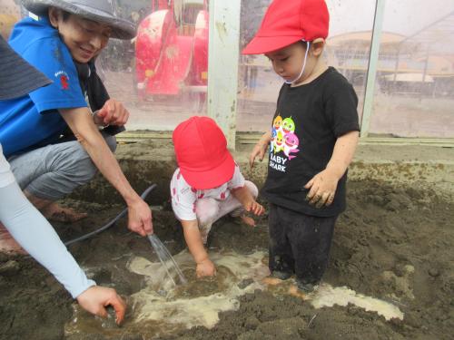 IMG 2266 (1)