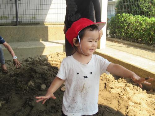 IMG 2315 (1)