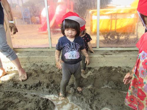 IMG 2337 (1)
