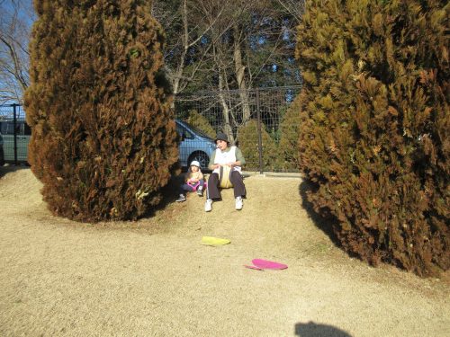 IMG 2894 (1)
