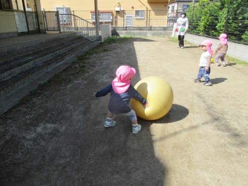 IMG 3439 (1)