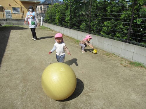 IMG 3440