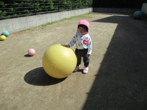 IMG 3442 (1)