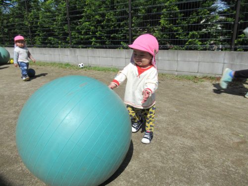 IMG 3444 (1)