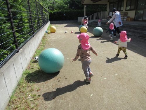IMG 3446