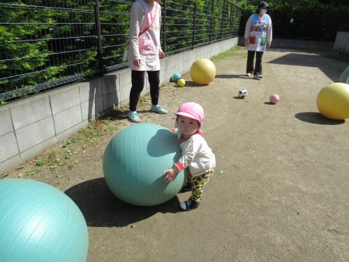 IMG 3447 (1)