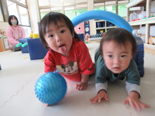IMG 3451 (1)