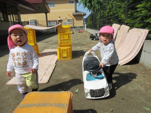 IMG 3453 (1)