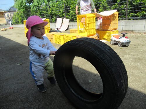 IMG 3455 (1)