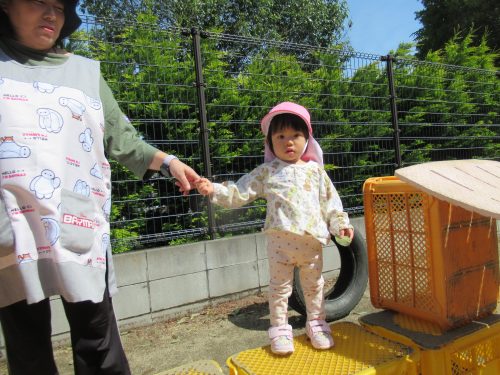IMG 3456 (1)