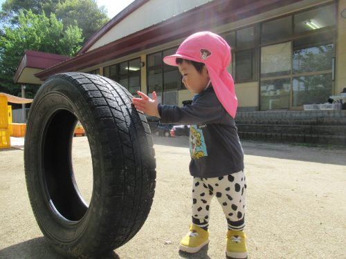 IMG 3459 (1)
