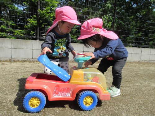 IMG 3462 (1)