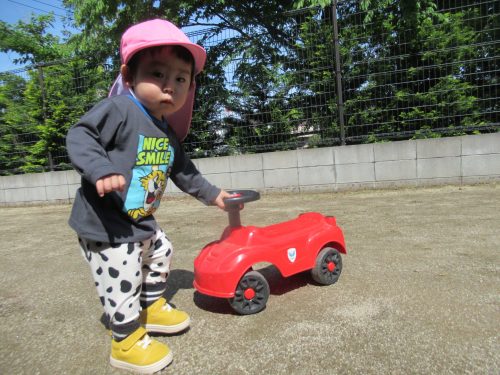 IMG 3463 (1)