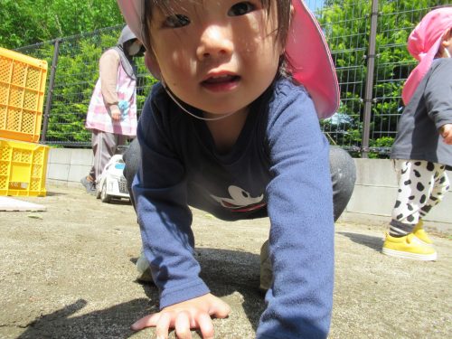 IMG 3465 (1)