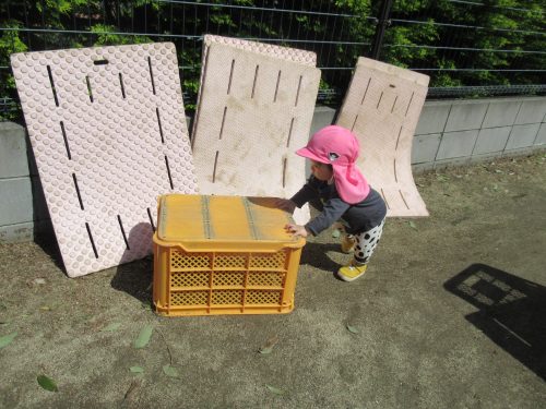 IMG 3469 (1)