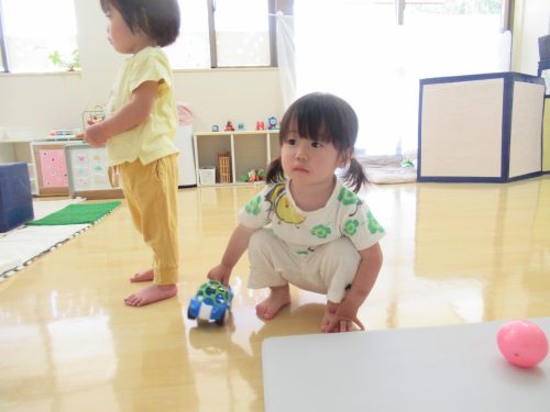 IMG 3477 (1)