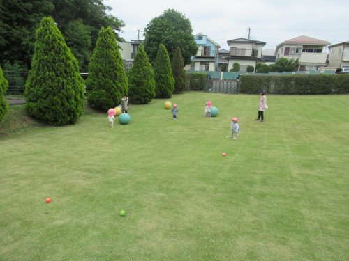 IMG 3493 (1)