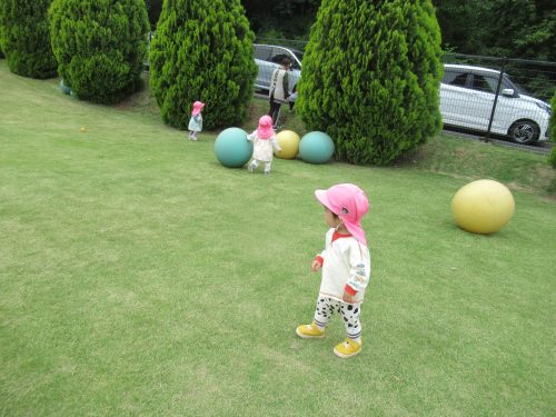 IMG 3495