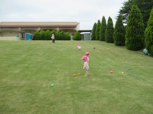 IMG 3499 (1)