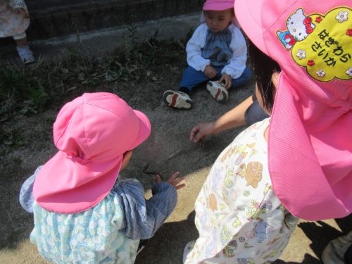 IMG 3582