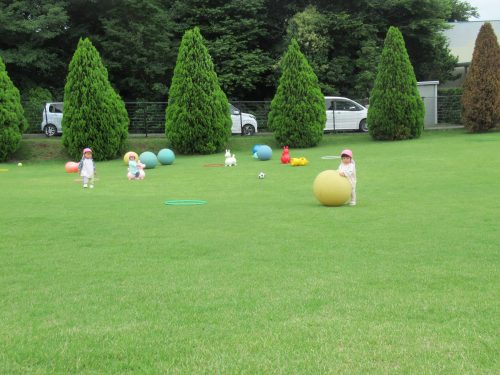 IMG 3669 (1)