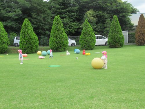 IMG 3670 (1)