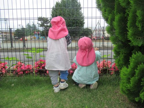 IMG 3671 (1)