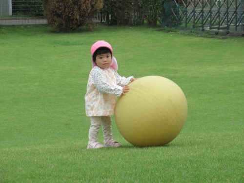 IMG 3672 (1)