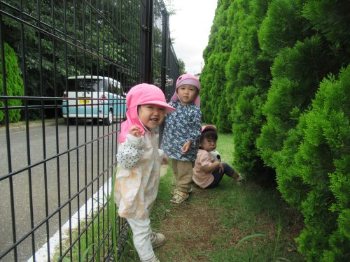 IMG 3675 (1)