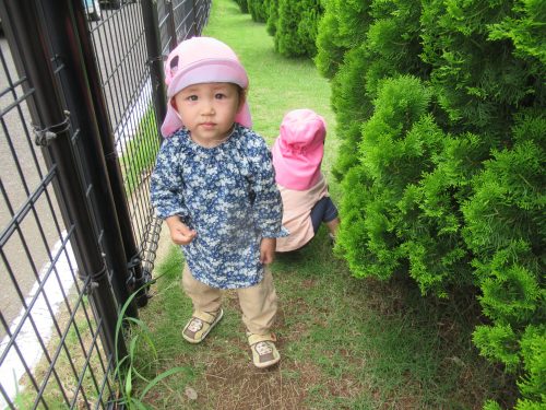 IMG 3676 (1)