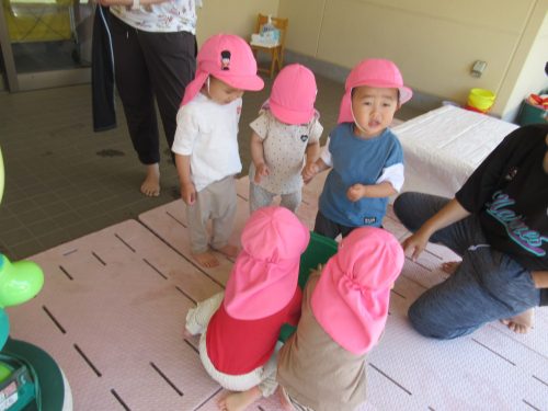 IMG 3684 (1)