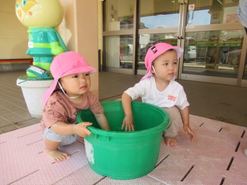 IMG 3705 (1)