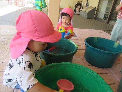 IMG 3734 (1)