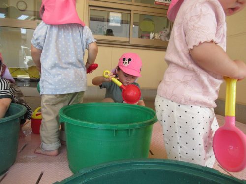 IMG 3737