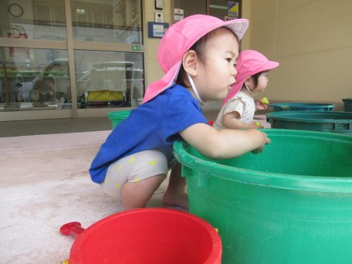 IMG 3746 (1)