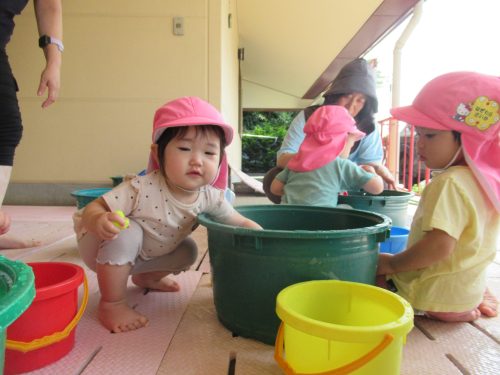 IMG 3752 (1)
