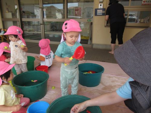 IMG 3755 (1)