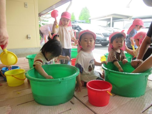 IMG 3775 (1)