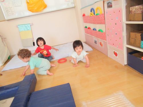 IMG 3794 (1)